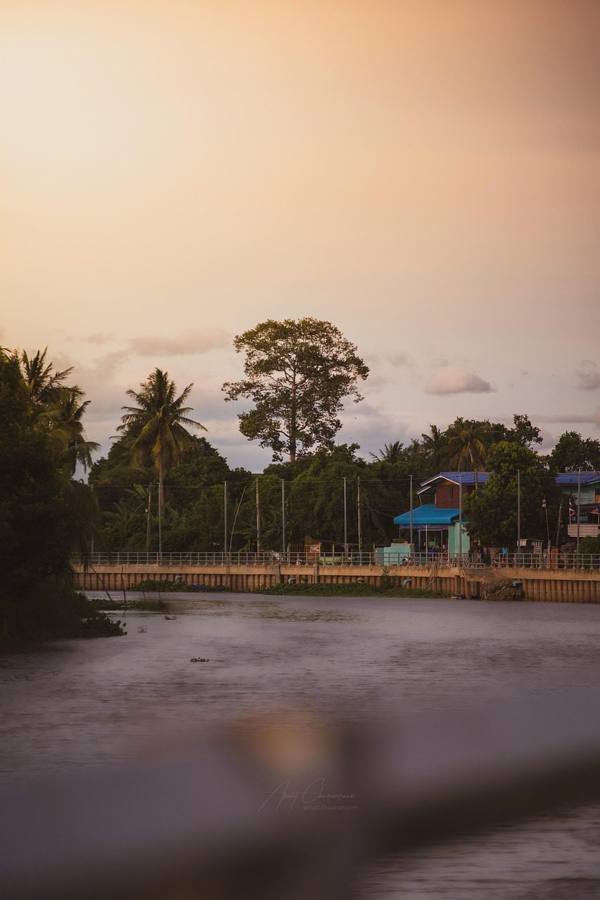 city, city view, view point, nature, community, scenery, beautiful wallpaper, river, water, background, nature wallpaper